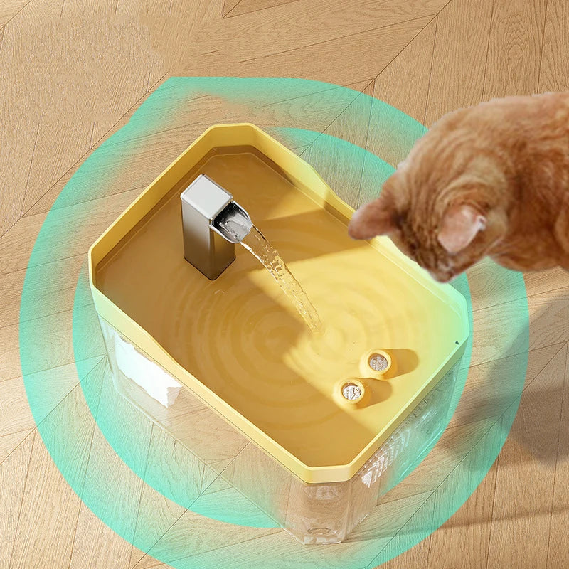 Fontaine à eau transparente pour animaux – Distributeur automatique silencieux