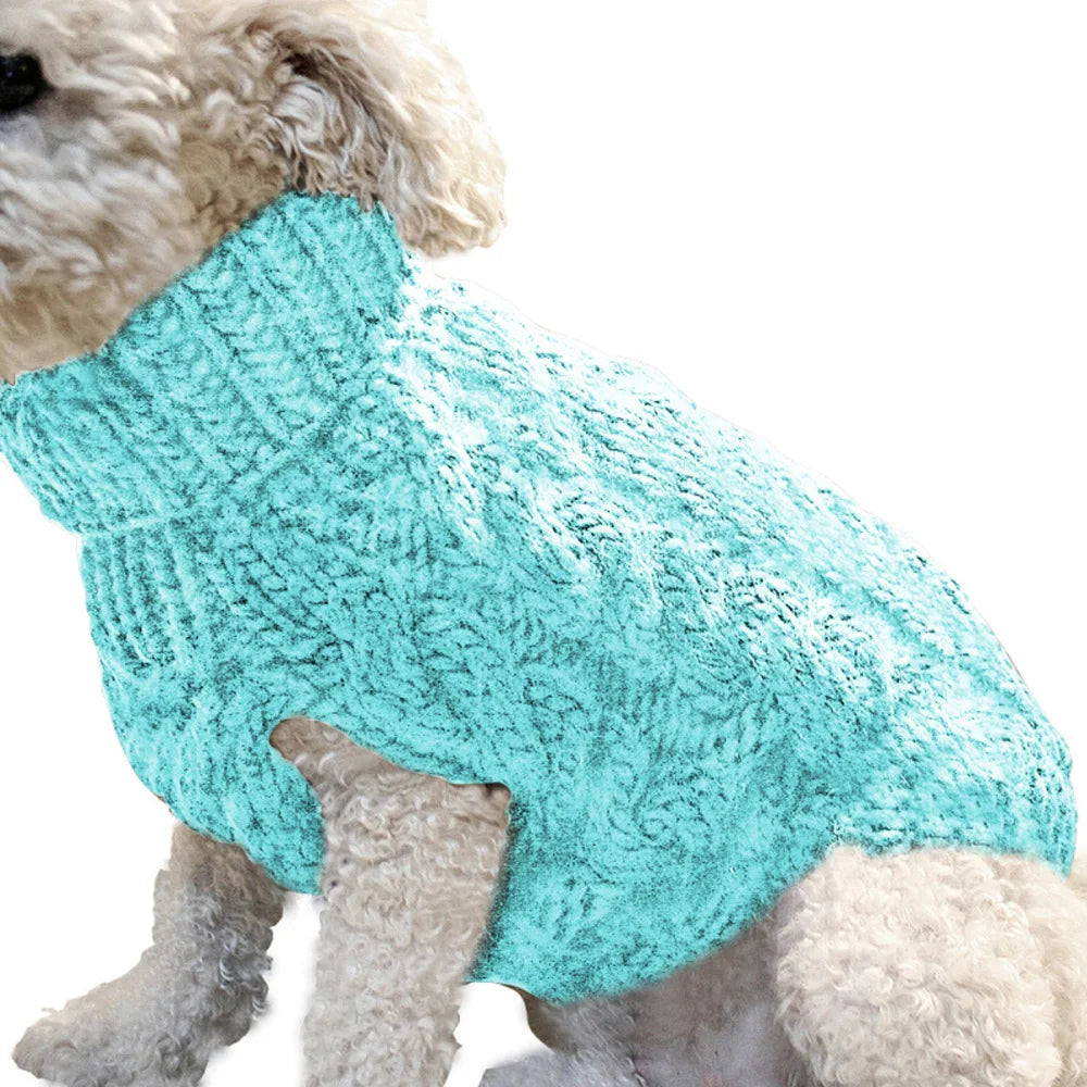 Pull chaud torsadé pour petit chien – Hiver & Automne co